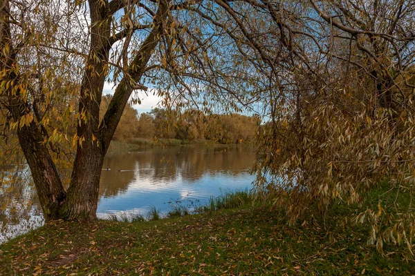 Herbstlandschaft Mit Bäumen Und Fluss — Stockfoto