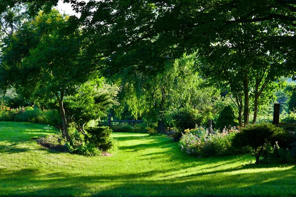 Krásný Zelený Park Létě — Stock fotografie