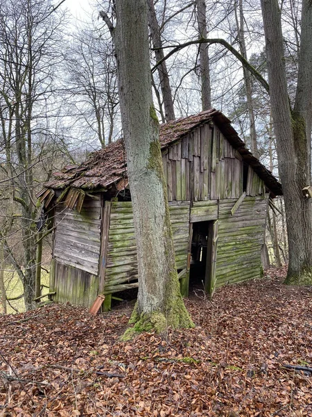 Gammalt Trähus Skogen — Stockfoto