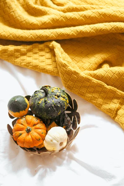 Halloween Pumpkins White Cloth — Stock Photo, Image