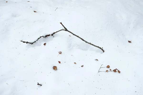 Biały Śnieg Ziemi — Zdjęcie stockowe