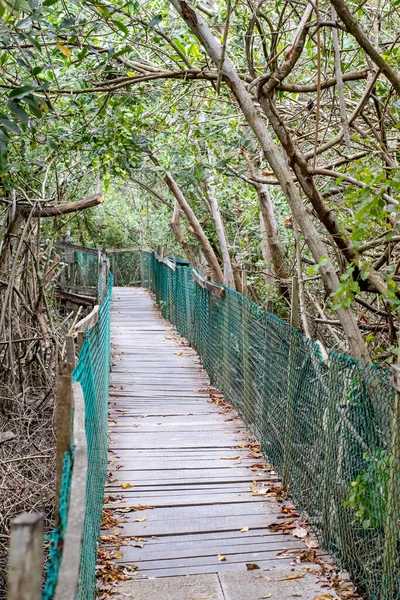 Puente Madera Bosque — Foto de Stock