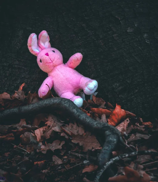 Fondo Halloween Con Oso Juguete —  Fotos de Stock