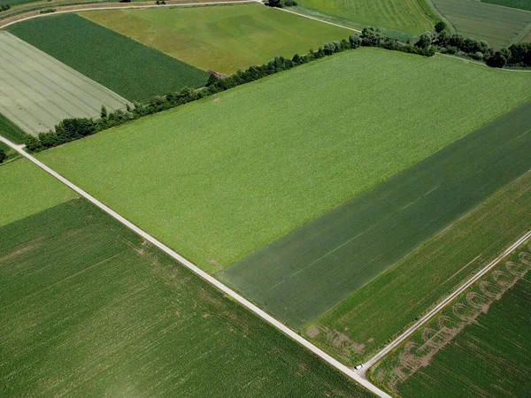 Vanuit Lucht Uitzicht Groen Veld Met Velden Heuvels — Stockfoto