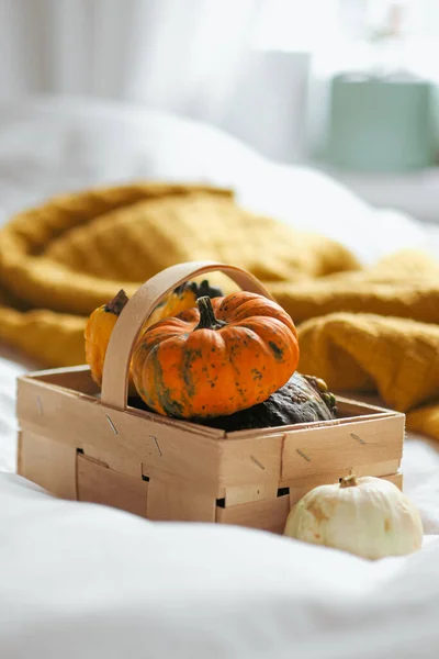 Halloween Pumpkins White Cloth — Stock Photo, Image