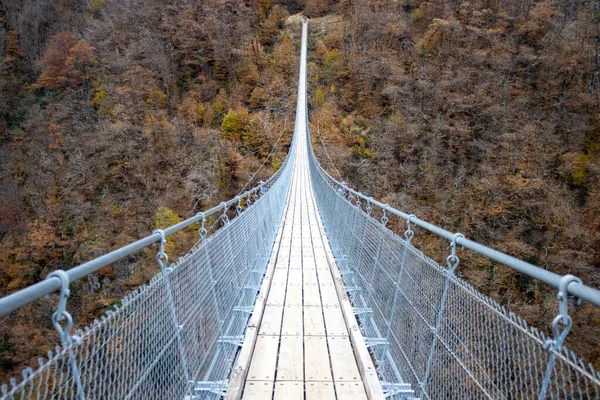 Vacker Utsikt Över Bron — Stockfoto