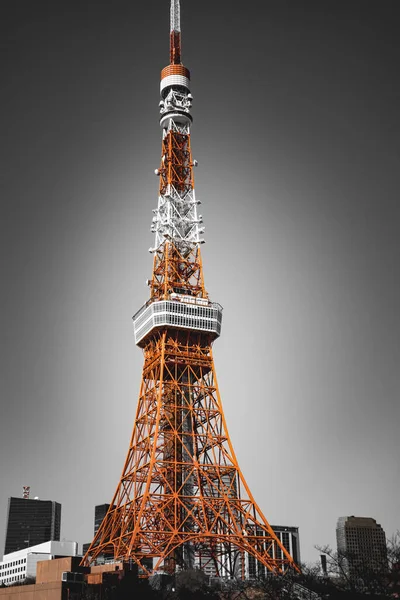 Πύργος Των Πύργων Του Άιφελ Βράδυ Νέα Υόρκη Ηπα — Φωτογραφία Αρχείου
