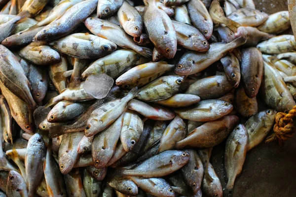 Mercato Del Pesce Nella Strada Della Thailandia — Foto Stock