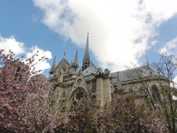Paris Fransa Daki Notre Dame Katedrali — Stok fotoğraf