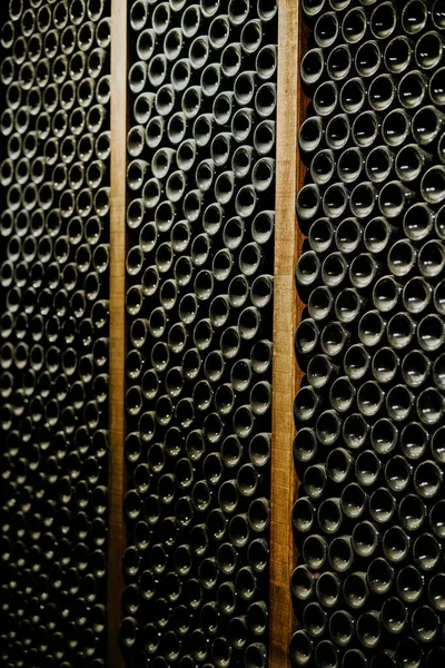 Виноробство Пляшками Вина — стокове фото