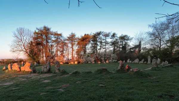 Wunderschöne Landschaft Mit Einem Baum Und Felsen — Stockfoto