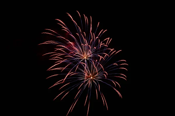 Colorful Fireworks Night Sky — Stock Photo, Image