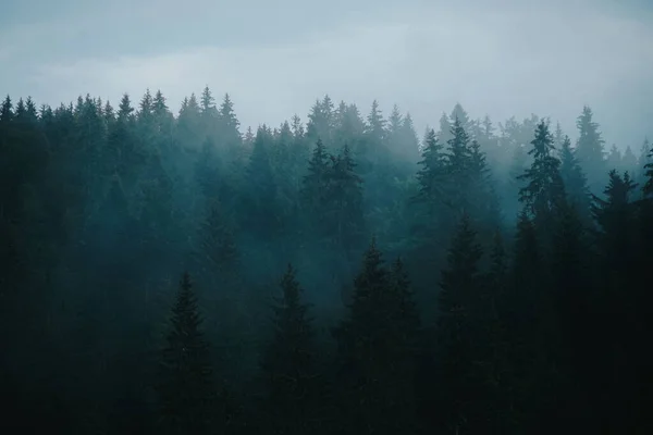 Paisagem Nebulosa Com Céu Nublado — Fotografia de Stock