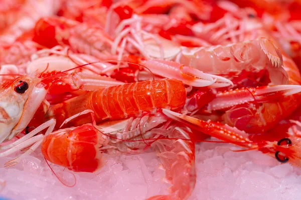 Crabe Rouge Frais Sur Glace Sur Marché — Photo