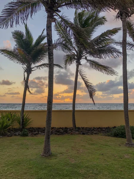 Schöner Tropischer Strand Mit Palmen Und Sand — Stockfoto