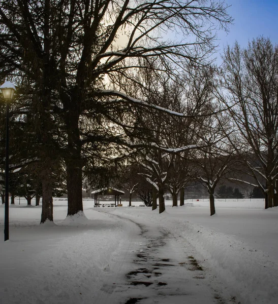 Winterlandschap Met Besneeuwde Bomen — Stockfoto