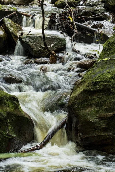 Schöner Wasserfall Wald — Stockfoto