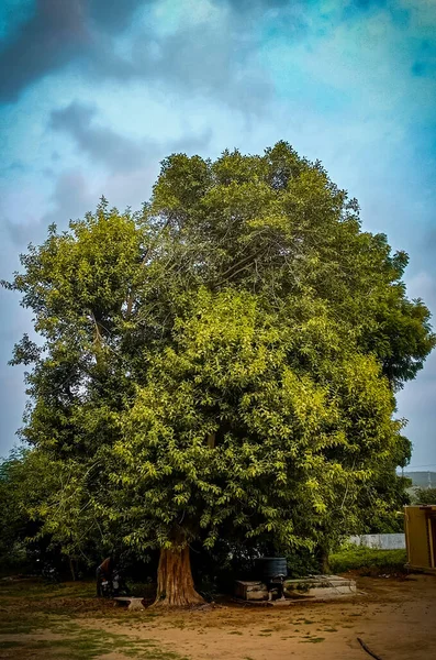 Hermosa Vista Del Parque —  Fotos de Stock