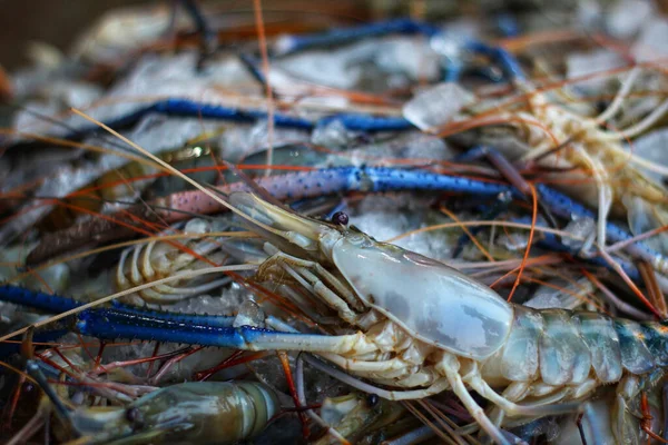 市場に出回っている新鮮な魚介類 — ストック写真