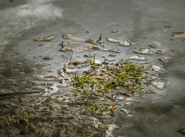 Gocce Acqua Terra — Foto Stock