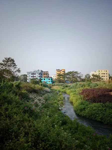 Vista Para Parque Cidade — Fotografia de Stock