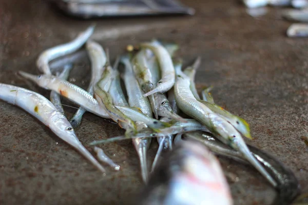 Fresh Seafood Market — Stock Photo, Image