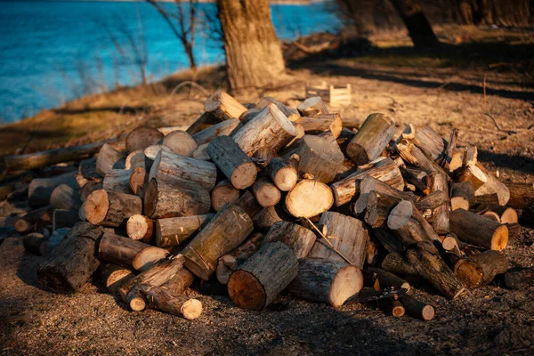 Pile Firewood Stump — Stock Photo, Image