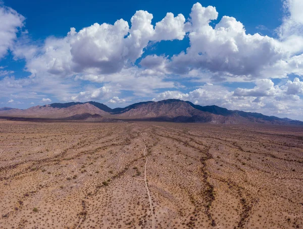 Beau Paysage Désert Néguev Dans Parc National Namib Utah Etats — Photo