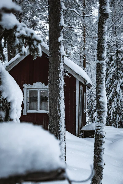 Träbänk Parken — Stockfoto