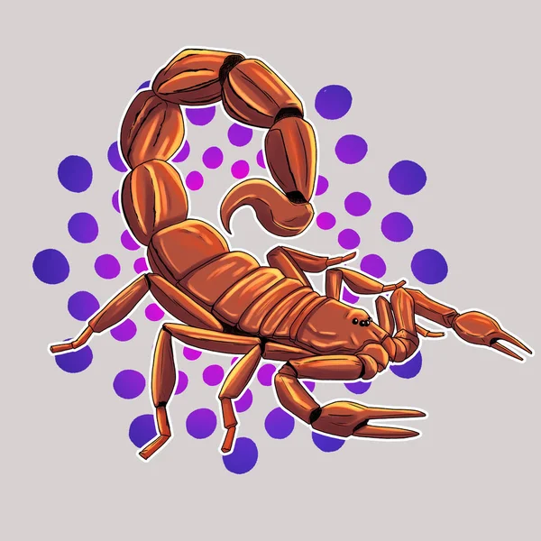 貝のついたエビのベクトル図 — ストック写真