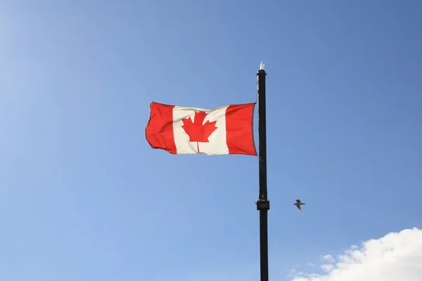 Bandera Canada Sobre Fondo Del Cielo — Foto de Stock