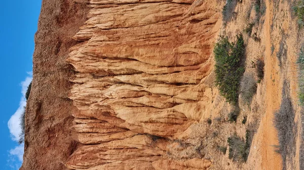 Bella Vista Della Natura Sullo Sfondo Della Natura — Foto Stock