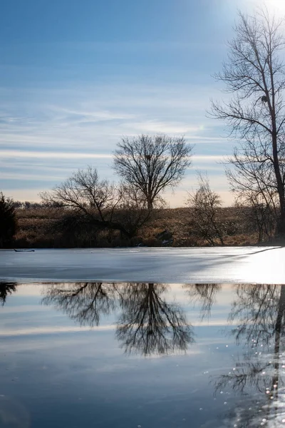 Winterlandschap Met Sneeuw Bomen — Stockfoto