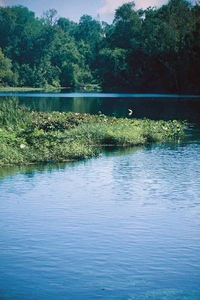 Schöner Blick Auf Den See — Stockfoto