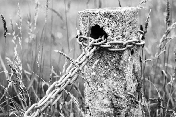 森の中の錆びた金属製の柵 — ストック写真