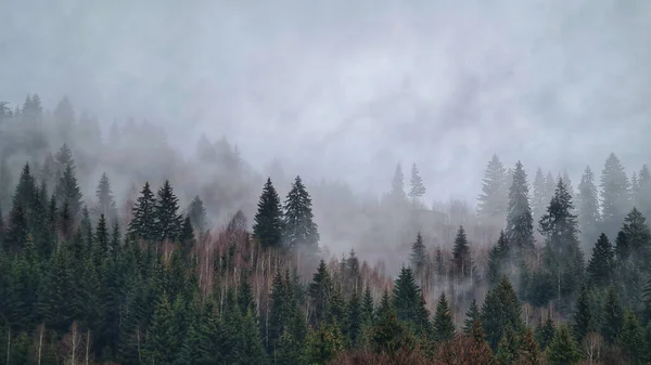 山の中に霧深い森がある美しい風景 — ストック写真