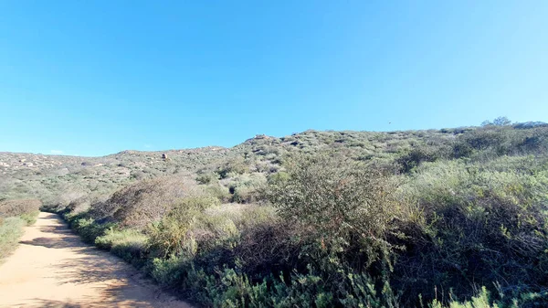 Schöne Landschaft Mit Einem Baum Und Einem Berg — Stockfoto