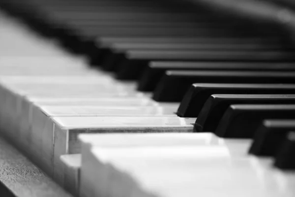 白い背景のピアノキー — ストック写真