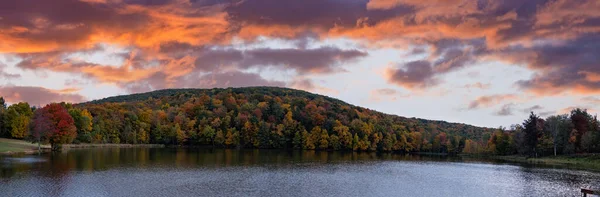 Herbstlandschaft Mit Bäumen Und Wald — Stockfoto