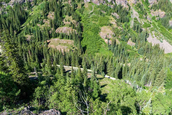 Bella Vista Sul Bosco — Foto Stock