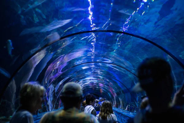 Onderwater Zicht Een Menigte Mensen Het Aquarium — Stockfoto