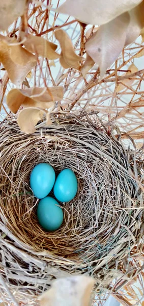 Pasen Eieren Nest Een Houten Achtergrond — Stockfoto