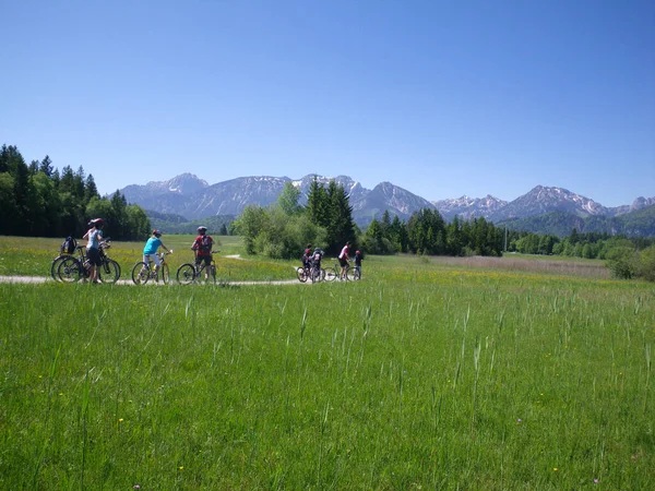 Μια Ομάδα Ανθρώπων Που Κάνουν Ποδήλατο Στα Βουνά — Φωτογραφία Αρχείου