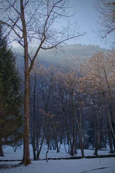 Paisaje Invernal Con Árboles Cubiertos Nieve —  Fotos de Stock