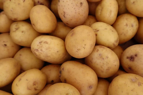 Batatas Frescas Mercado — Fotografia de Stock