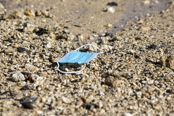 砂浜で死んだカエルのクローズアップショット — ストック写真