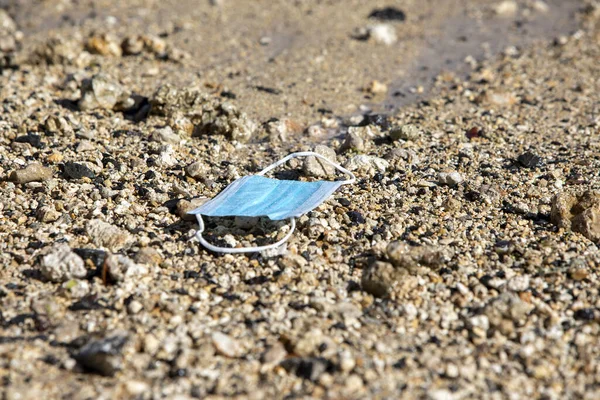 Primer Plano Una Rana Muerta Una Playa Arena — Foto de Stock