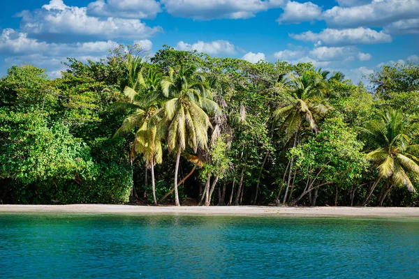Tropisch Strand Met Palmbomen Blauwe Lucht — Stockfoto
