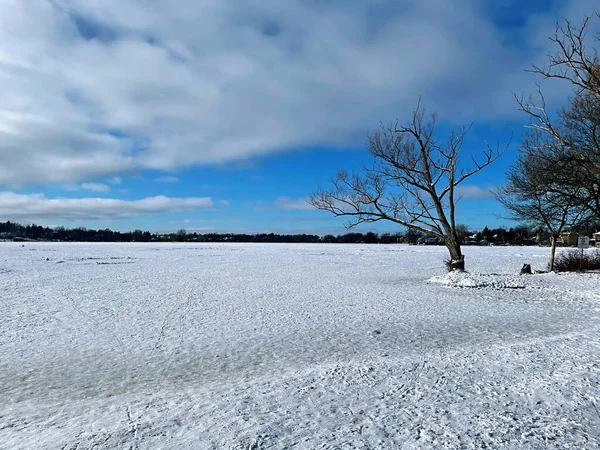 Paisagem Inverno Com Árvores Cobertas Neve — Fotografia de Stock