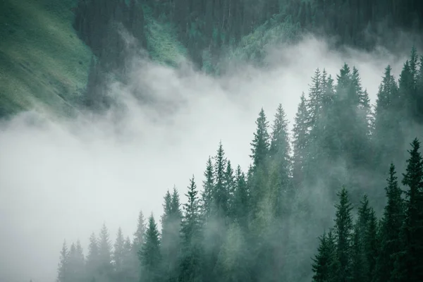 Piękny Widok Mglisty Krajobraz Górski — Zdjęcie stockowe